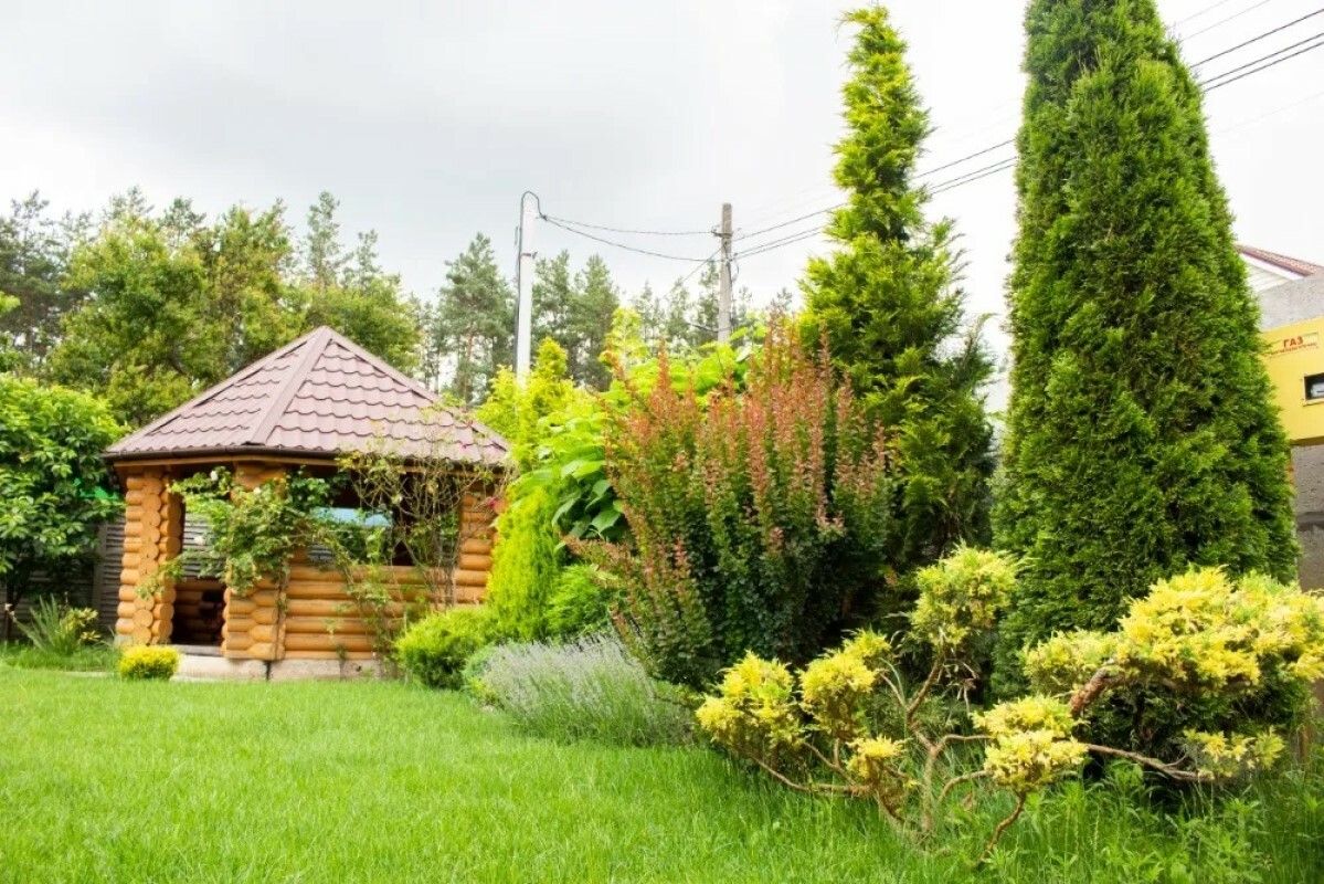 https://novosibirsk.tgv-stroy.ru/storage/app/uploads/public/637/ef4/fb3/637ef4fb3605f391429275.png